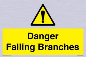 Danger Falling Branches